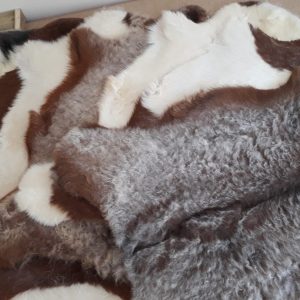 Goatskin Rugs